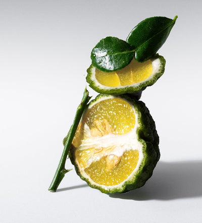 Bergamote 